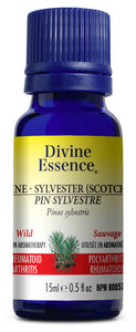 DIVINE ESSENCE Pine Sylvestre (Scotch - Wild - 15 ml)